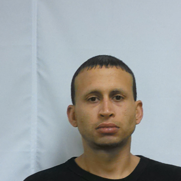 Untitled design (14)