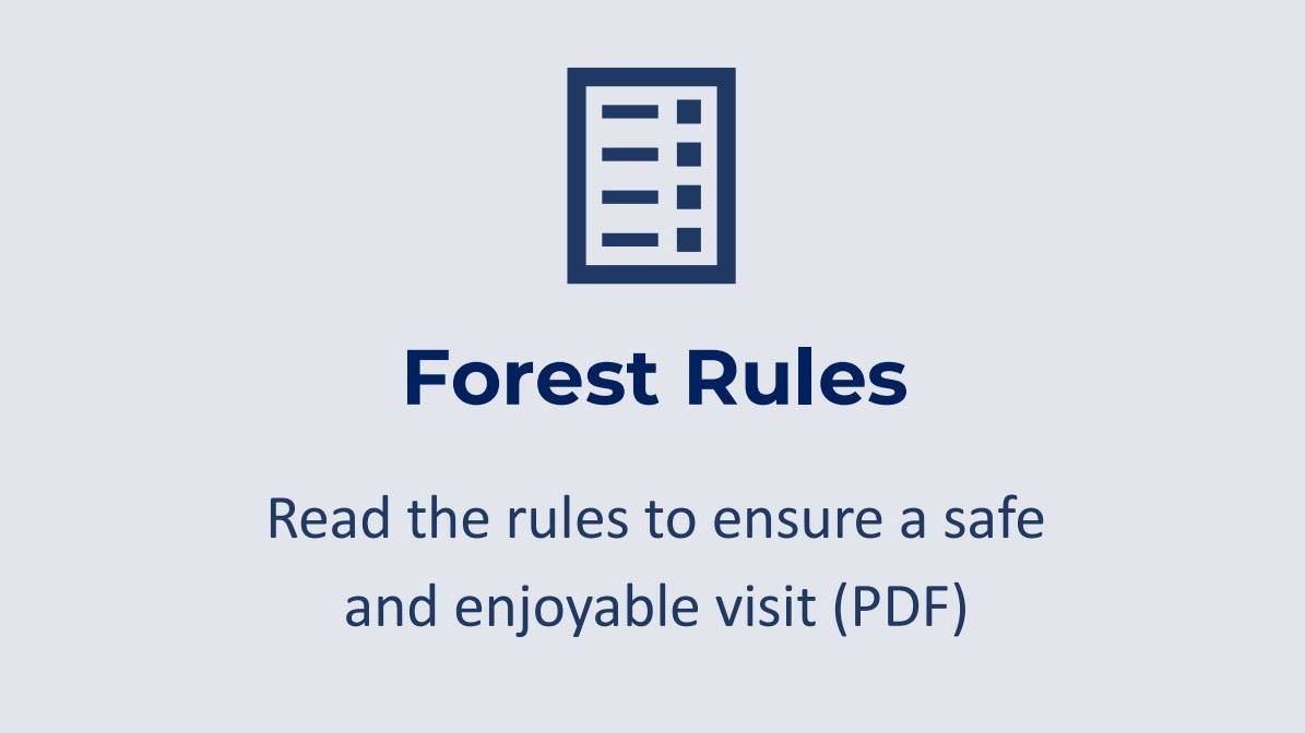 Forest Rules